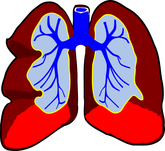 vastu shastr lungs health